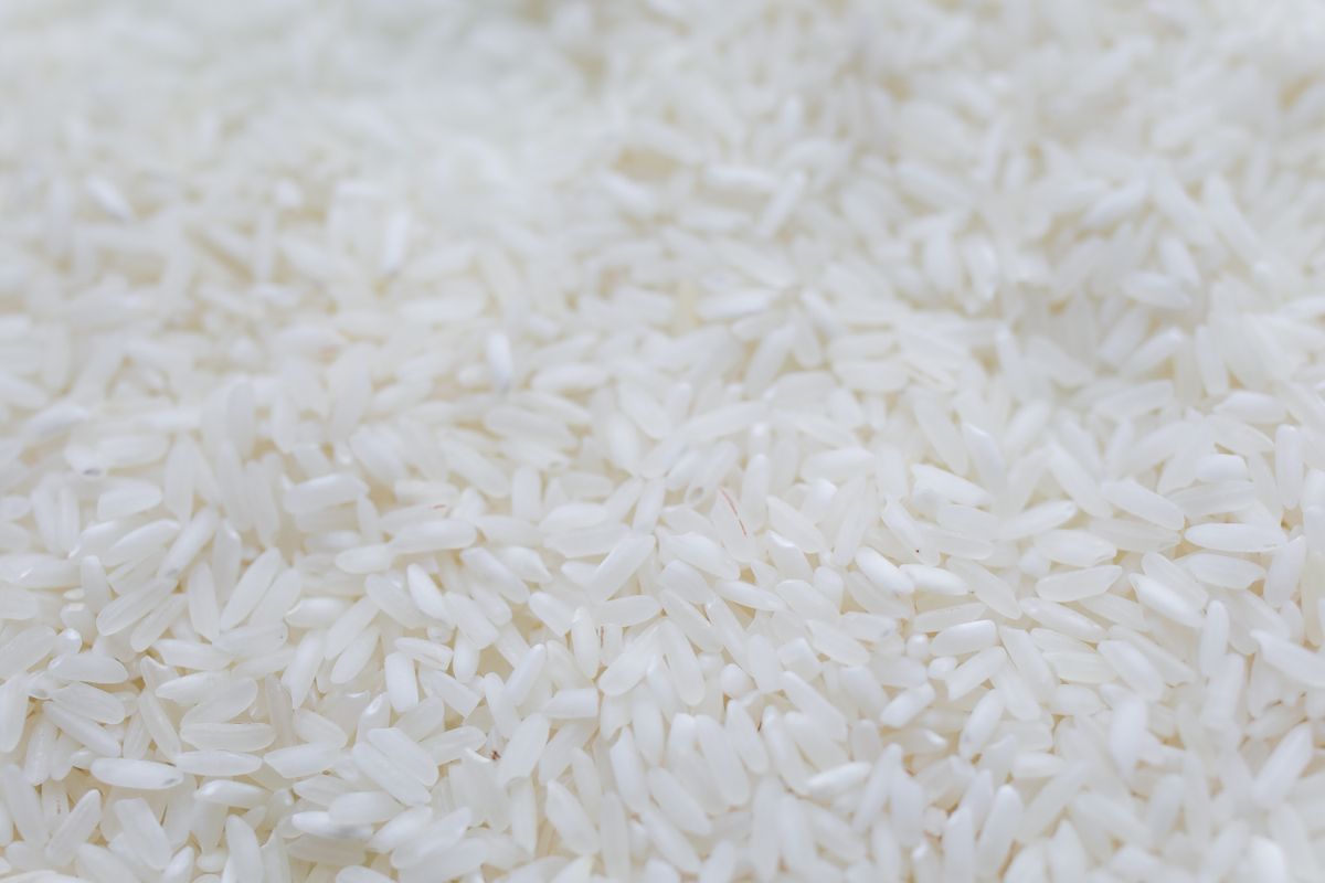 Panela pulverizada granulada para industria alimentaria